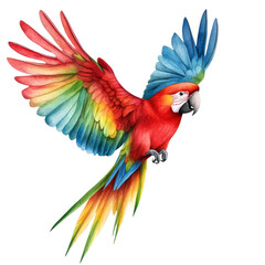 Obraz premium A vibrant and colorful parrot in flight, showcasing brilliant red and blue plumage, perfect for nature and wildlife themes.