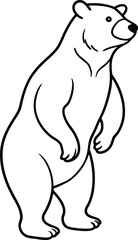 Fun Bear Coloring Book Standing Tall on Hind Legs
