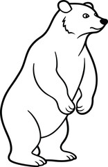 Bear on Hind Legs Coloring Pages for Kids
