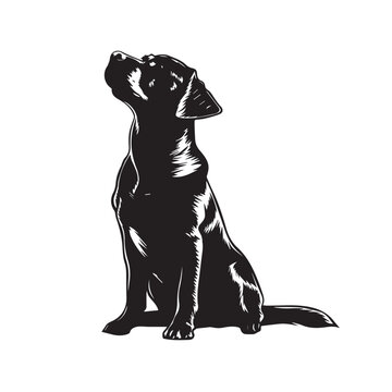 recommend clip art: Dog silhouette collection vector. Dog in various poses and activities like jumping, sitting, running, playing, and standing. Silhouette black puppies, pet dog vector isolated on a white background