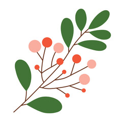 Winter red poinsettia flower with leaves and berries, christmas star isolated on white background. Vector illustration, flat style