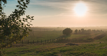 Landscape at sunset in a field