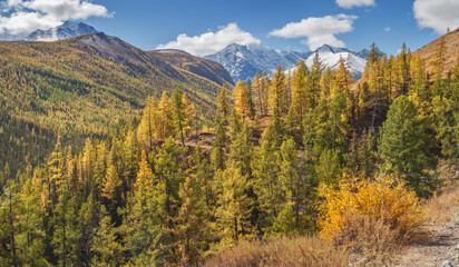 Autumn landscape, mountain peaks and autumn forest, sunny day