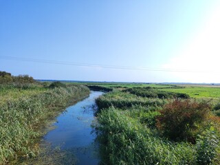 Obraz premium landscape with river