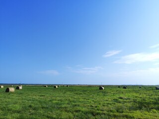 Obraz premium hay bales in the field