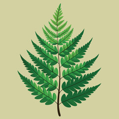 fern leave illustration