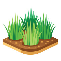 grass in a pot Grass patche