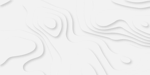 Abstract white paper cut background with lines. Background of the topographic map. White wave paper curved reliefs abstract background. Realistic papercut decoration textured with wavy layers.