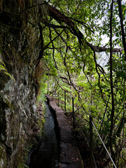 Hiking trail through a dense dark forest near an irrigation canal