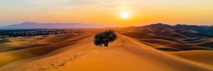 Sand dunes. Desert landscape with beautiful sand dunes and blue sky