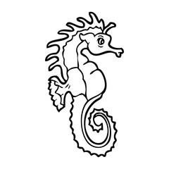 seahorse line vector illustration