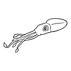 squid line vector illustration