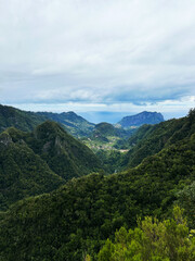 Hiking mountain trail among rocks and plants with a view of the clouds and gorge