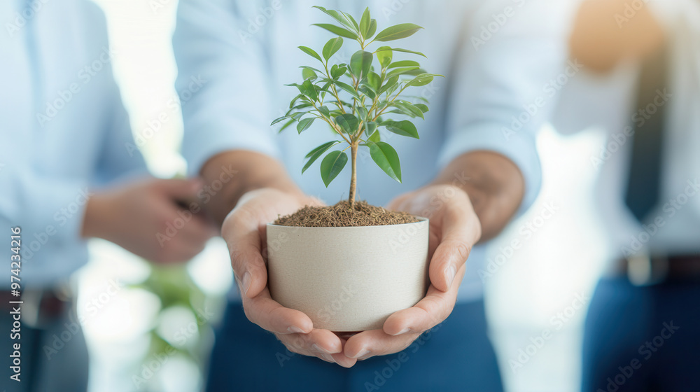 Canvas Prints Hands holding small potted plant.