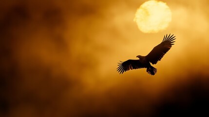 Obraz premium A bird flying against a backdrop of sunlight and clouds in the sky