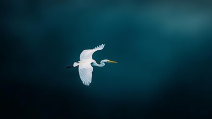 Obraz premium A white bird flies over a tranquil body of water, its beak holding a struggling fish Wings outstretched