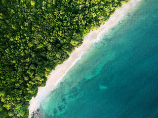 Caribbean coast tropical west indies aerial view