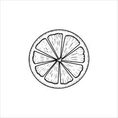 Hand drawn lemon slice. Vector illustration