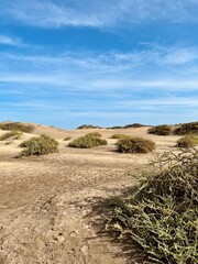 Minimalist photography of golden dunes against a bright blue sky next to the ocean. Dunas Maspalomas Gran Canaria, Spain