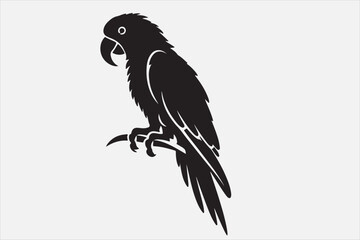 A beautiful cuie Parrot silhouette design.