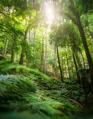 Fototapeta premium Lush green forest nature background with depth of field for a serene and tranquil atmosphere