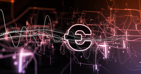 Image of euro sign, data processing and connections on black background