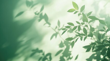 Soft light green background with subtle textures and gentle shadows, providing a vibrant and calming visual space for creative designs