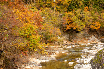 秋の紅葉に染まる川