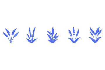Simple lavender flower icon set