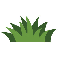 cute grass illustration transparent background