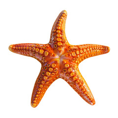 starfish isolated on white background