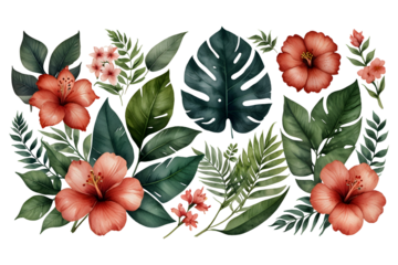 Watercolor of Tropical spring floral green leaves and flowers elements isolated on transparent background, bouquets greeting or wedding card decoration