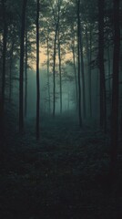 Fototapeta premium Enchanted Dusk: Moody Forest with Creeping Shadows and Soft Horizon Glow