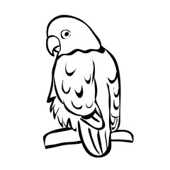 illustration of a parrot