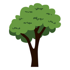 cute tree illustration transparent background