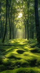 Obraz premium Enchanted Forest Sunrise