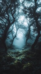 Enigmatic Forest: Intriguing Misty Woodland with Twisted Trees and Ethereal Light Beams