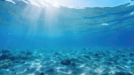 Fototapeta premium A beautiful underwater scene with sunbeams shining through the crystal clear water.