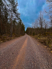 Schweden, Sweden, Sunset, Wald, Forest, Bäume, Trees, Landschaften, Landscapes, See, Lake, einsam, Urlaub, wunderschön, Drohnen, Droneshots, River, Fluss, wild, Natur, abgelegen, Inseln, Island,