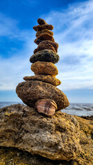 Sea stones and shell in focus, on the seashore