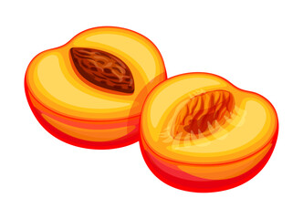 Peach cut into two halves in cartoon style. Vector illustration of fresh and tasty peaches: pitted halves, slices isolated on white background. Useful fruits. A healthy snack. Sweet dessert.