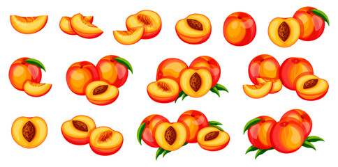 Set of sweet and juicy peaches in cartoon style. Vector illustration of fresh and tasty peaches with green leaves:whole,halves,slices isolated on white background. Useful fruits.Healthy snack.Dessert.