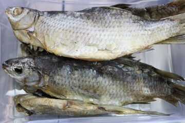 A variety of assorted dried fish arranged in a clear container for display and enjoyment