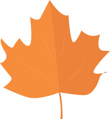 leaf foliage element in autumn.