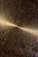 Raindrops falling on the window.