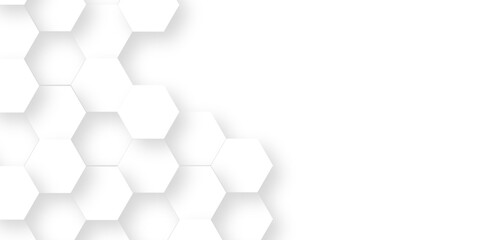 Abstract pattern with hexagonal white and gray technology line paper background. Hexagonal grid tile and mosaic structure mess cell. white and gray hexagon honeycomb geometric copy space.