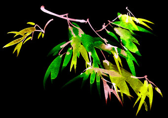 Neon watercolour leaves and flowers