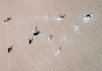water drops on the beach