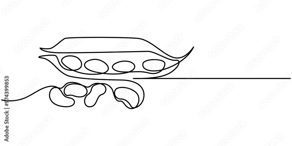 Poster fava beans simple color vector illustration. one continuous line art drawing with lettering organic 