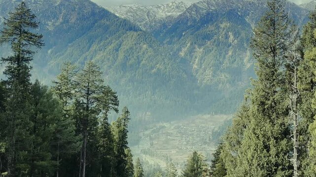 landscape with trees and snow in pahalgam, Kashmir, India